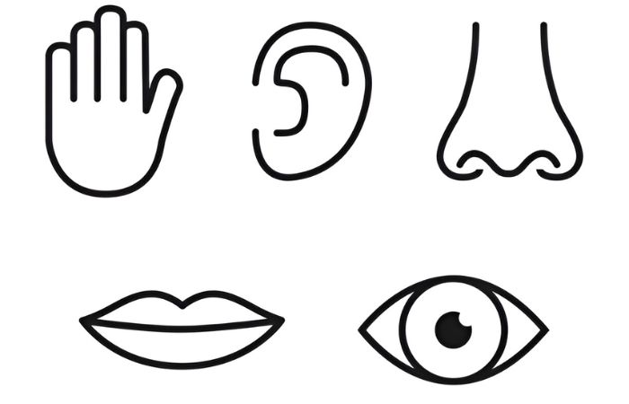 How to Create the Perfect 5 Senses Gift Bundle
